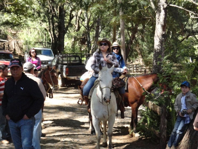 Paseos a caballo